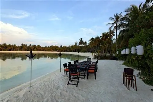 Единственная и неповторимая Ритхи Рах