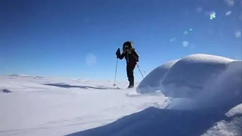 Романтический рекорд: французская пара пересекает Антарктиду на лыжах