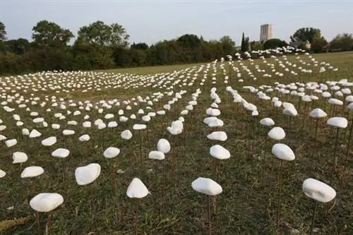 Галерея под открытым небом приглашает себя в устье Руайана