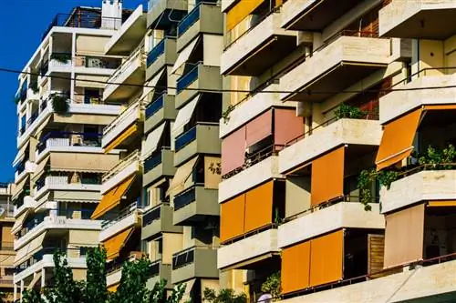 Картина Картина
