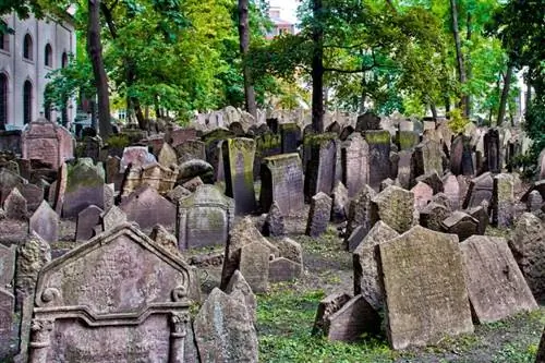 Картина Картина