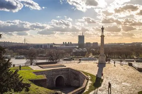 Картина Картина