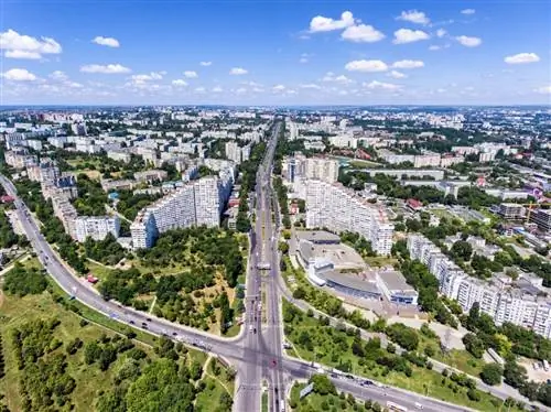 Картина Картина