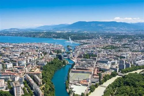 Картина Картина