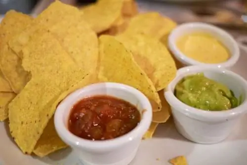 Он выживает в море только с лепешками и печеньем