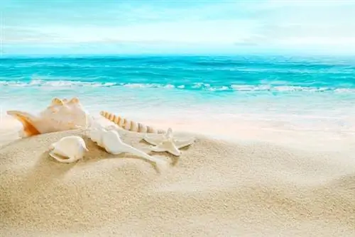 Отдыхающие, лучше не берите песок в чемоданах