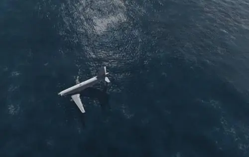 Видео: он снимает себя в ожидании помощи в открытом море после крушения его самолета