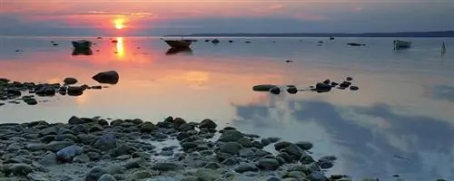 Эстония