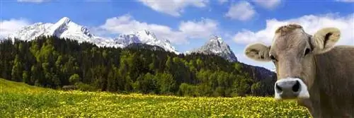 Швейцария