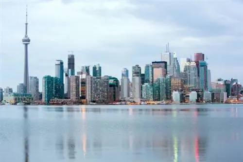 Canada Diem: Откройте для себя Канаду такой, какой вы ее еще не видели, с Эли Семун