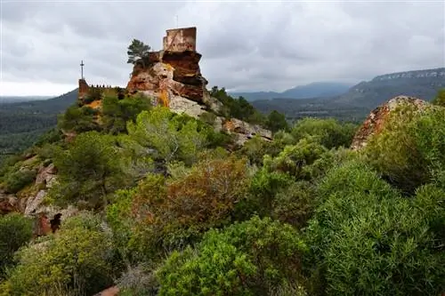 Картина Картина