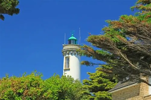 Картина Картина