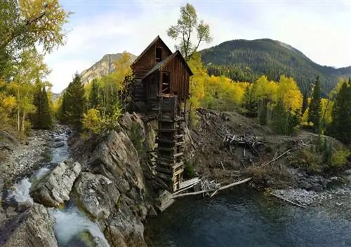 Картина Картина