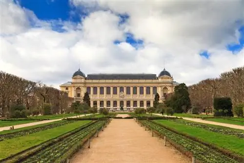 Картина Картина