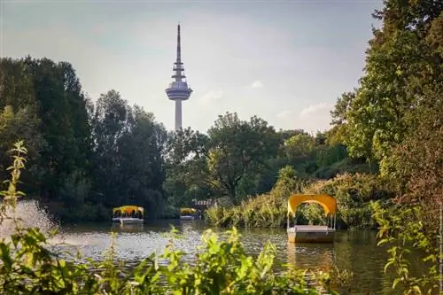 Картина Картина