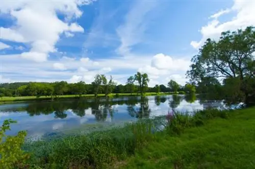 Призыв к бдительности: в Шере запрещено купаться