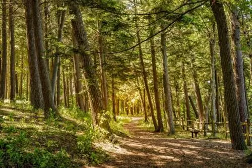 В самом сердце Квебека природа скрывает секретный пляж