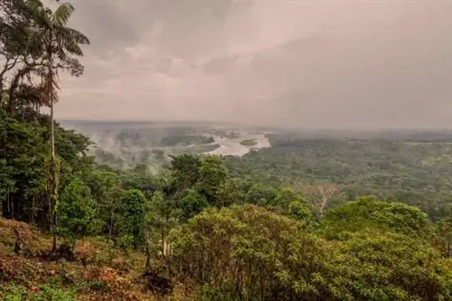 Это коренное племя борется за сохранение своей территории