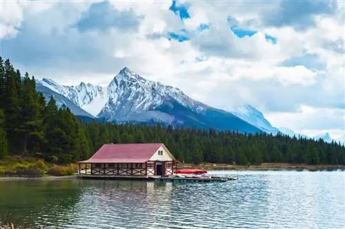 Картина Картина