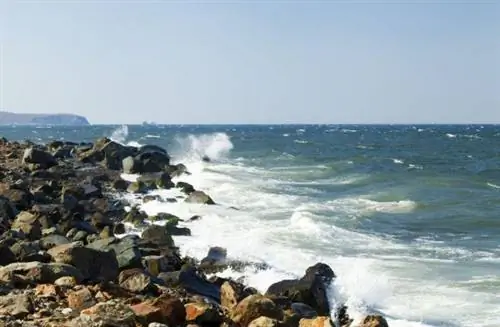 Любители зануд, они отправляются на четыре стороны света, чтобы найти