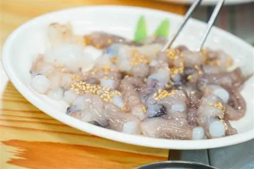 саннакджи