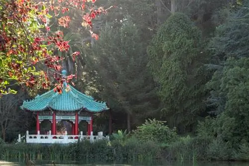 Картина Картина