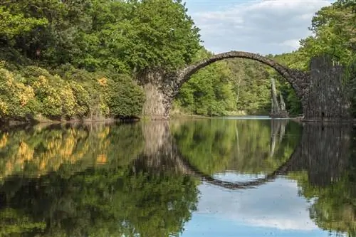 Картина Картина
