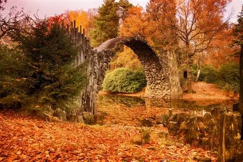 Картина Картина