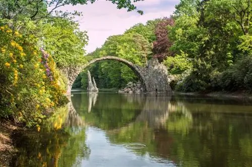 Картина Картина