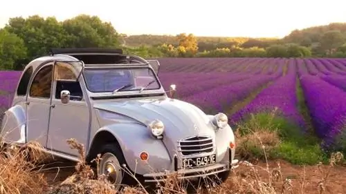Прованс в трех необычных занятиях