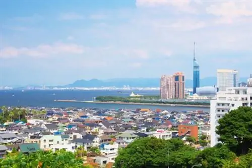 До/После: японский проспект, разрушенный гигантской дырой и отремонтированный за неделю