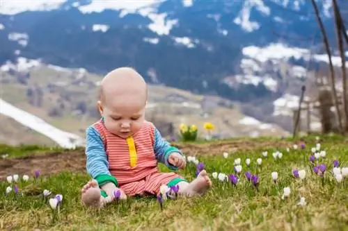 Советы: как провести идеальный отпуск в горах с ребенком?