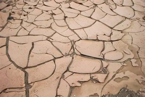 США грозит 35-летняя мегазасуха