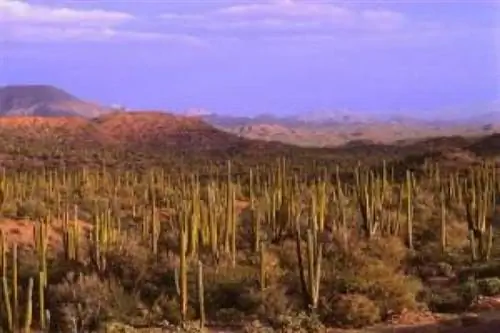 Hilton открывает отель в пустыне Невада