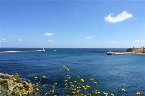 Картина Картина