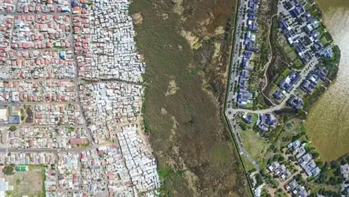 Картина Картина