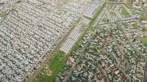 Картина Картина