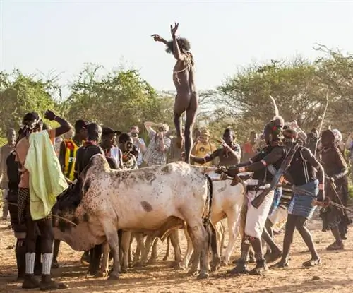 Обряды инициации по всему миру