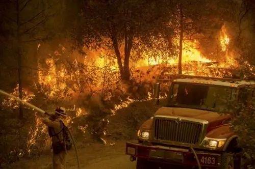 Американский Запад пострадал от сильных лесных пожаров