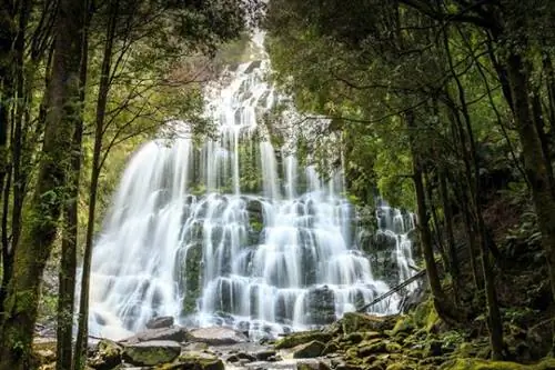 Тасмания: дикий и неизвестный остров Австралии