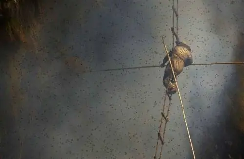 Головокружение от непальских охотников за медом