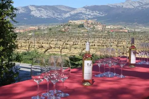 На винном маршруте Риоха-Алавеса в испанской Стране Басков