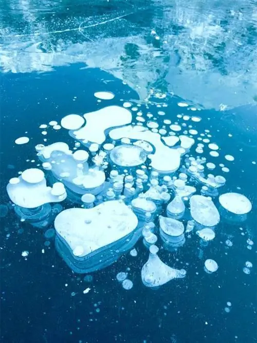 Самые красивые фотографии, сделанные на iPhone 6