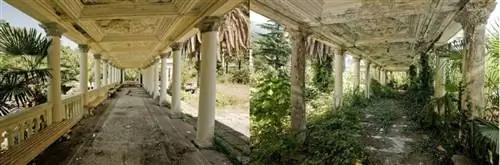 Картина Картина