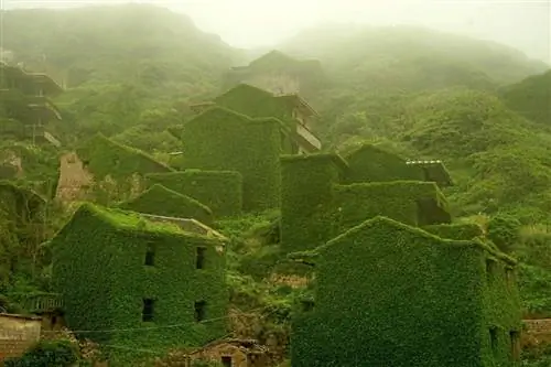 Картина Картина