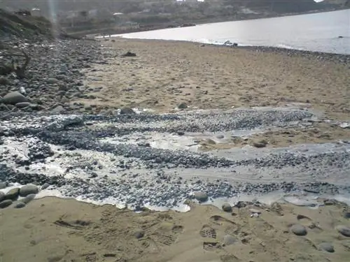 Запрещенные пляжи в Алжире