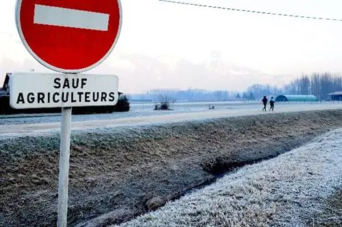 WTF парижан на Salon de l'Agriculture
