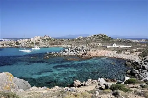 Картина Картина