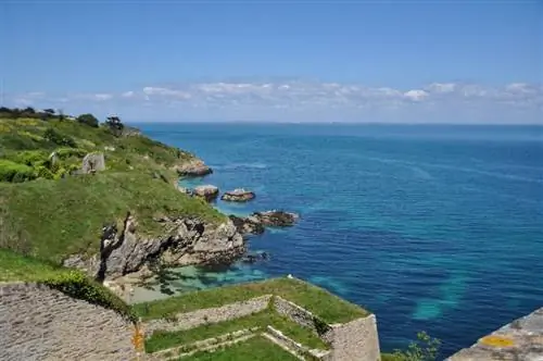 Картина Картина