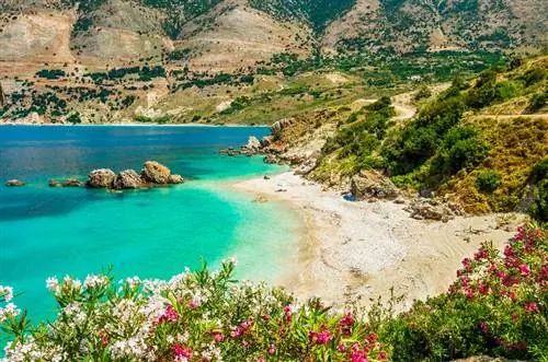 Картина Картина